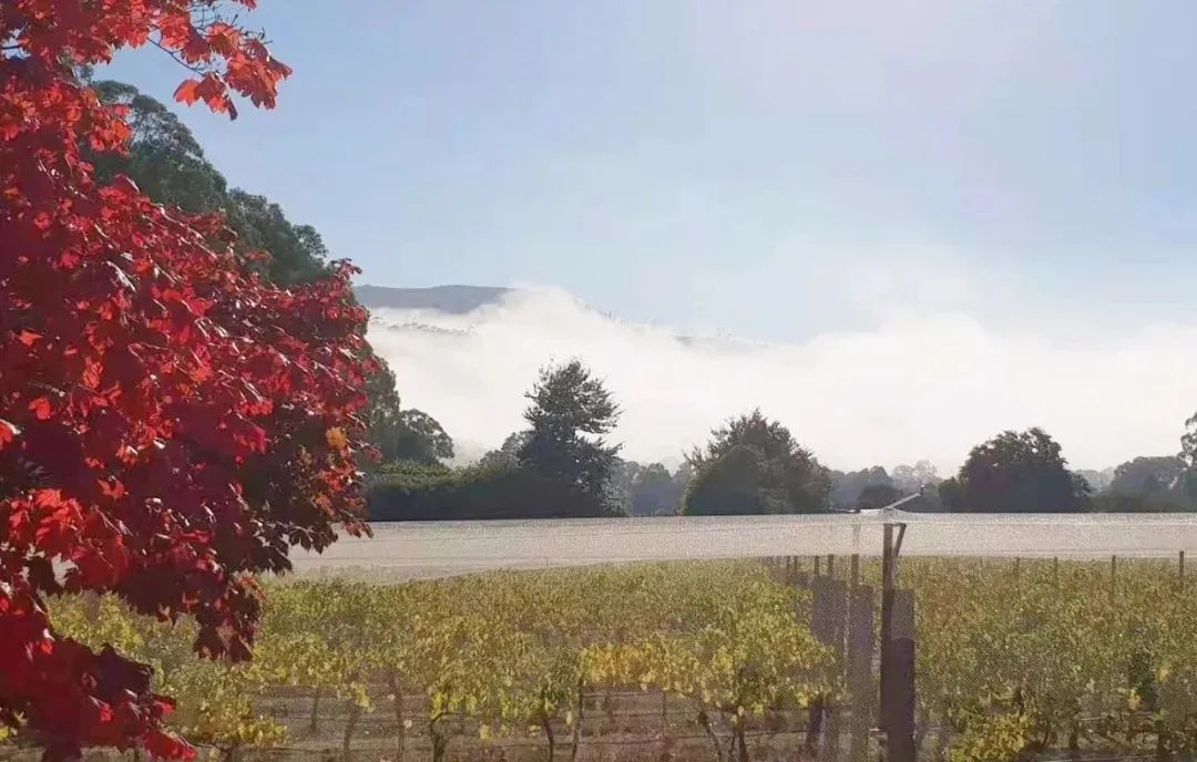 稅收優惠| 全面盤點一下目前的個人所得稅附加扣除有哪些？